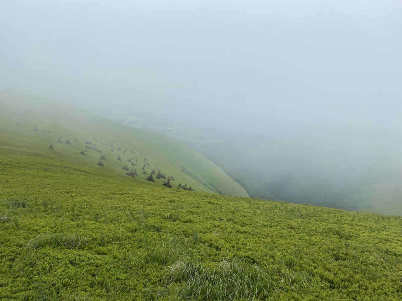 photo1655196642