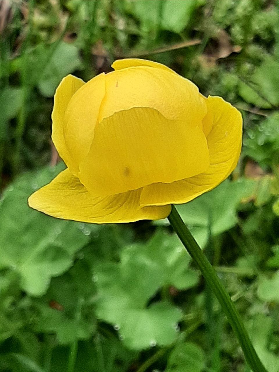 photo1655197046