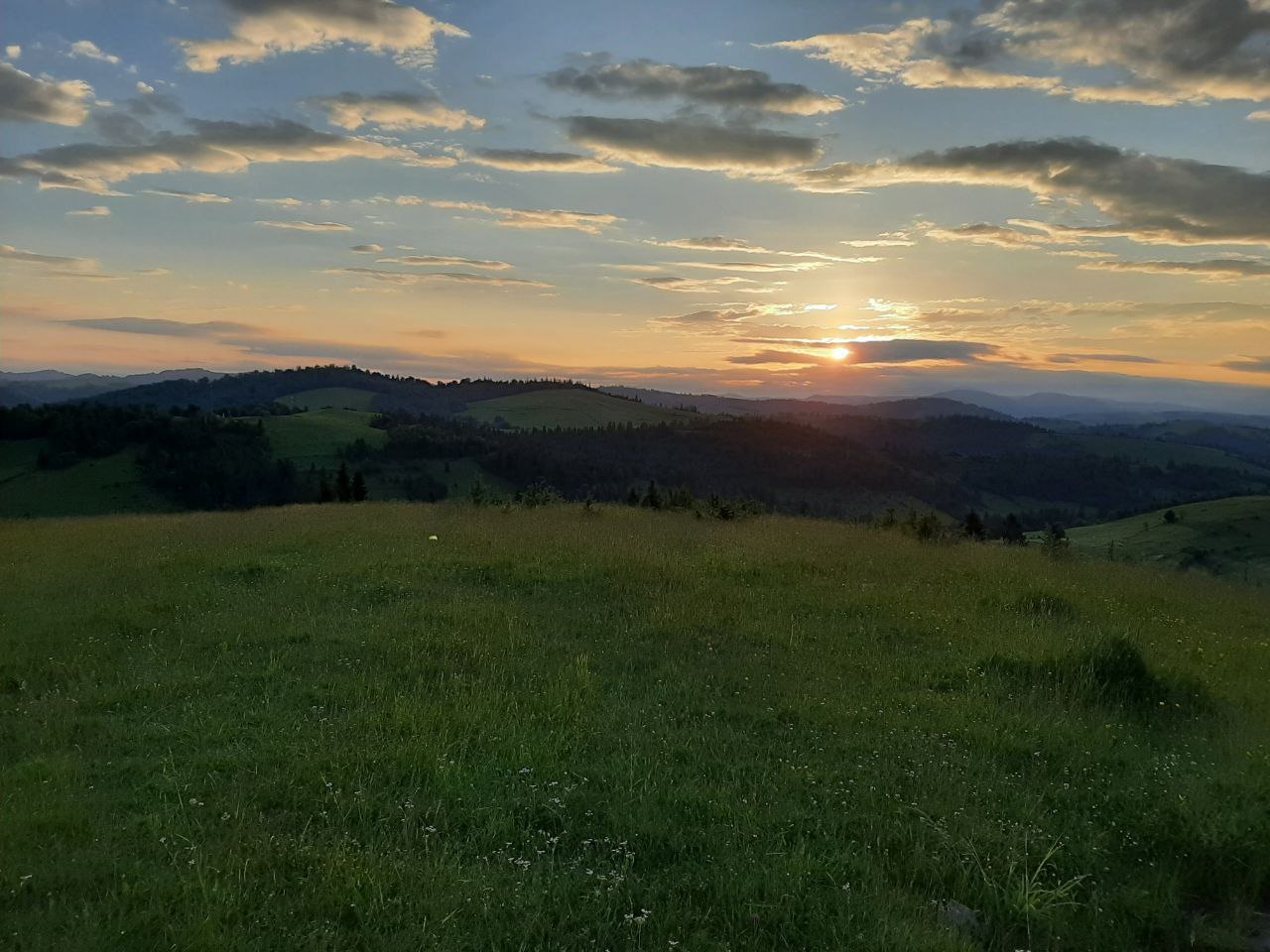 photo1655197096