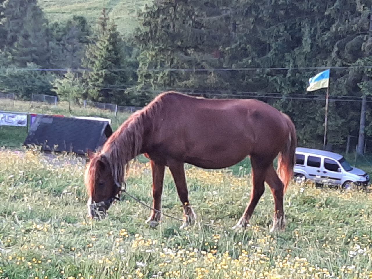 photo1655197118