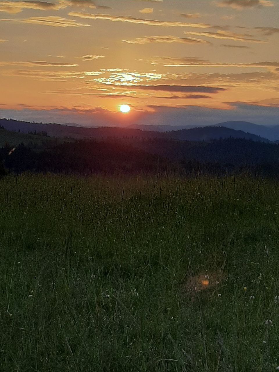 photo1655197144