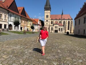 Детальніше про статтю Бардіїв